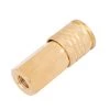 Kobalt Air Compressor Fittings 3/8-in Brass Female Universal Coupler